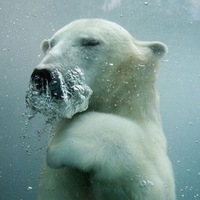 Андрей Ухаботов