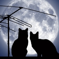 Никита Коробейко