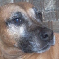 Вася Андреевный