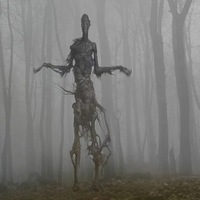 Рустам Левашин