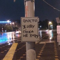 Александр Трубелов