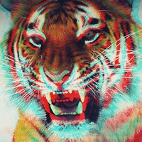 Александр Ярый