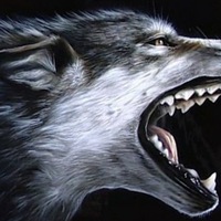 Константин Харьковский