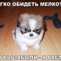 Максим Семенов