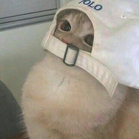 Сергей Сопронов