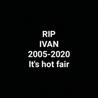 Ваня Шибанов