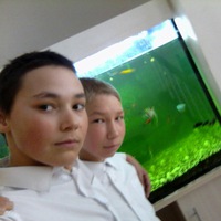 Некрасов Александр