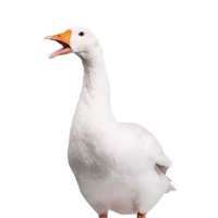 Лев Дяченко