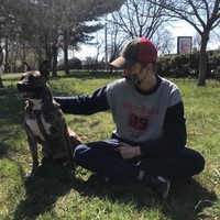 Отважный Дотер