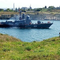 Саша Мартышкин