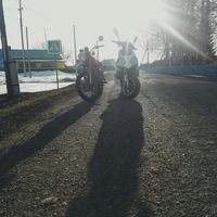 Тимур Даянов