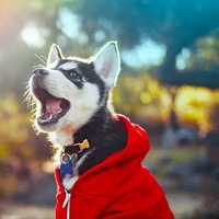 Артём Елисеев