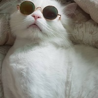 Дима Кожемяков