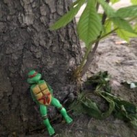 Лёша Техник