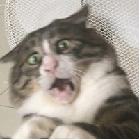 Иннокентий Феофилов