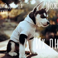 Саша Семёнов