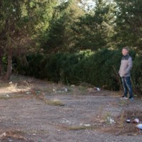 Артур Сафронов