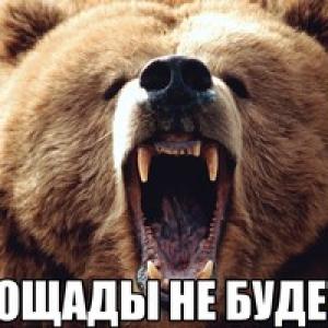 Михаил Домрачев