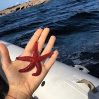 Максим Егоркин