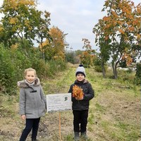 Савелий Сергеев