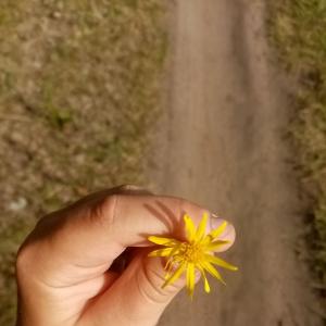 Ринат Измайлов