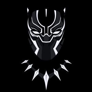 zebr4