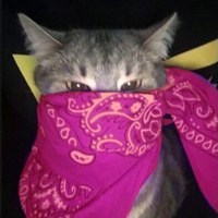 Максим' Рублёв