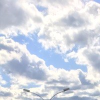 Евгений Вилесов