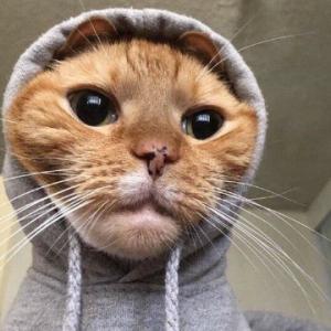 Tumyp