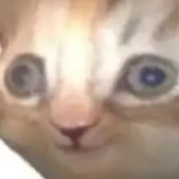 Сергей Рахманин