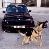 Дмитрий Рощупкин