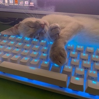 Роман Плетов