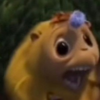 Коля Зубенко