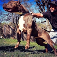 Александр Шубин