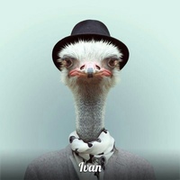 Иван Усачев