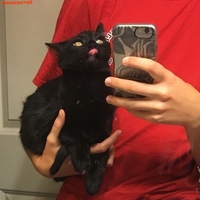 Иннокентий Макаров