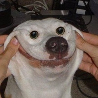 Никита Уолтер