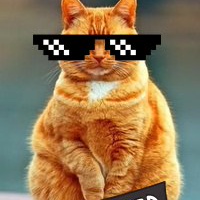 Рома Новиков