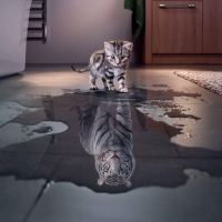 Артём Остролуцкий