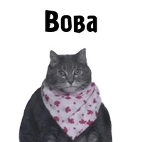 Владимир Соколков