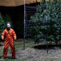 Валерий Дюма