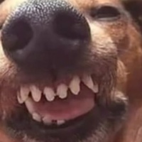 Александр Титов(1)