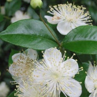 Татьяна Счастливая