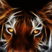 Стас Логожа