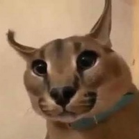 Савелий Гончаров