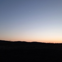 Александр Магомедалиев