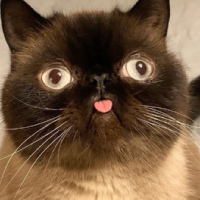 Илья Мозжерин