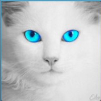 Даниил Милинтеев