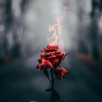 Данил Бурковский