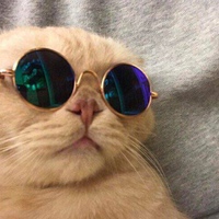 Меджид Суллаев